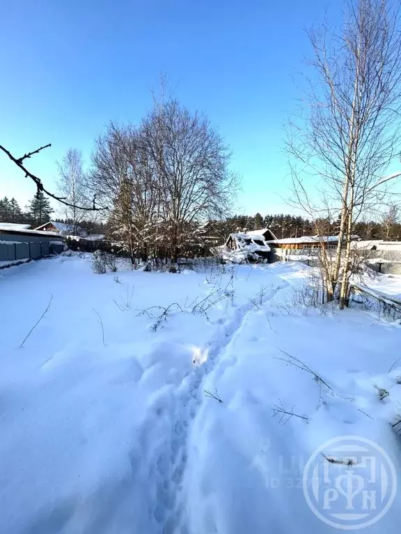 Участок в Ленинградская область, Гатчинский муниципальный округ, ... - Фото 2