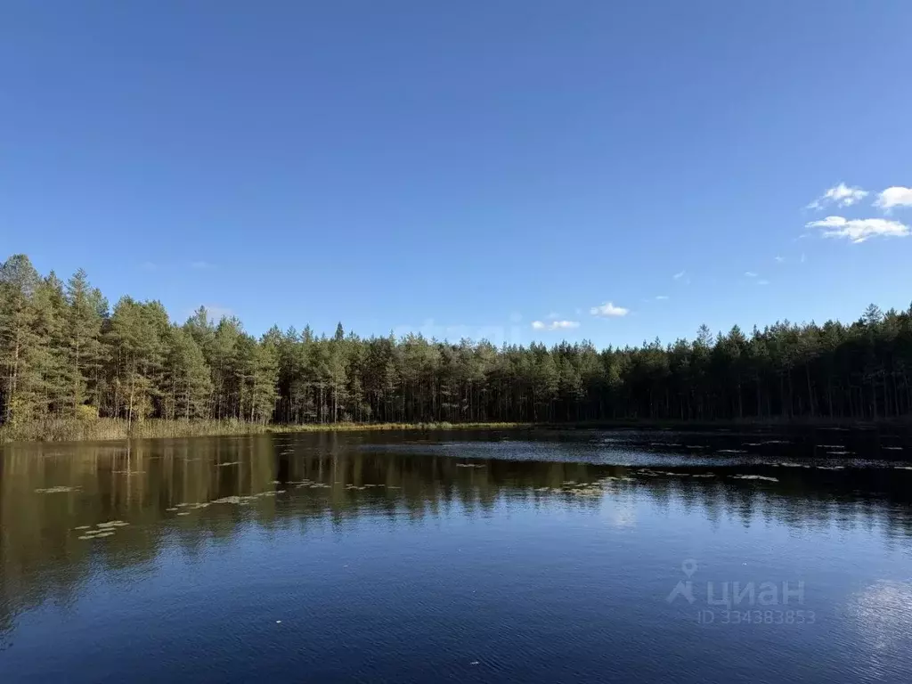 Участок в Ленинградская область, Лужский район, Серебрянское с/пос, д. ... - Фото 1