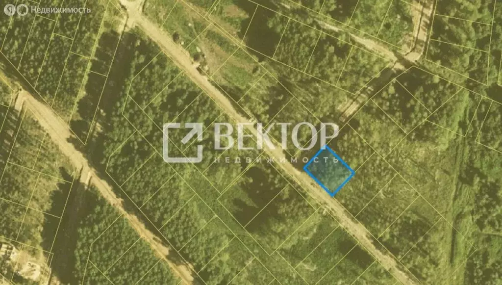 Участок в Ярославская область, Некрасовский муниципальный округ, КП ... - Фото 2