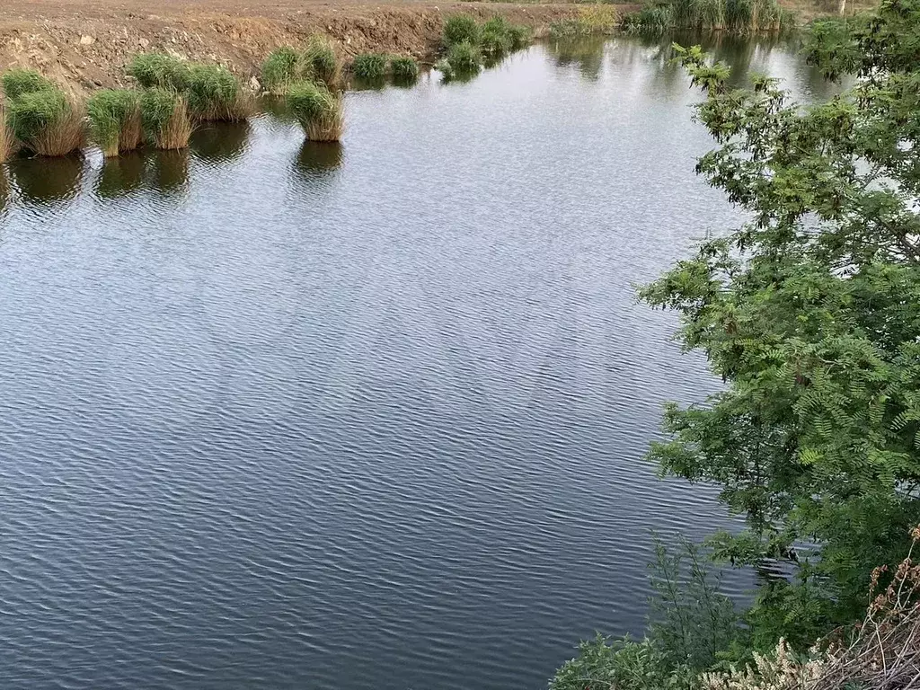 Участок 7 сот. (ИЖС) - Фото 0
