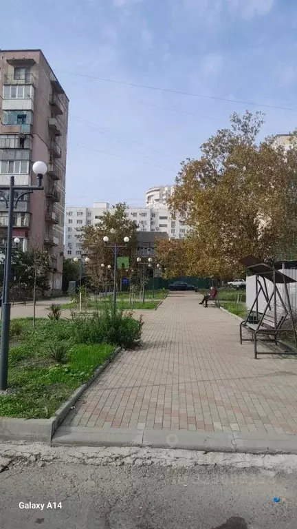 1-к кв. Краснодарский край, Новороссийск ул. Куникова, 64А (31.1 м) - Фото 1