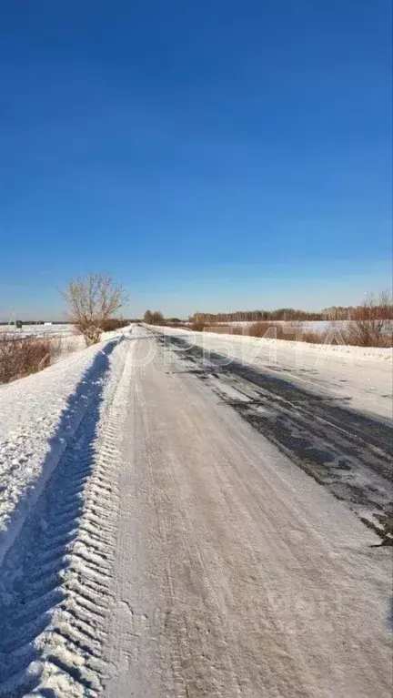 Участок в Тюменская область, Тюменский район, д. Марай  (11.9 сот.) - Фото 1