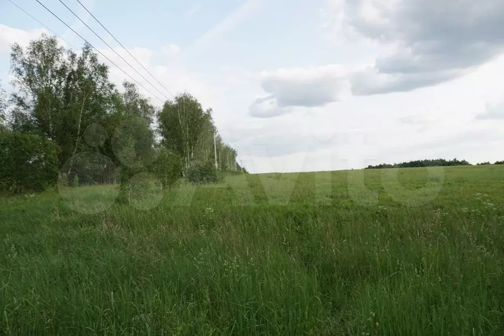 Участок 8 сот. (ИЖС) - Фото 1