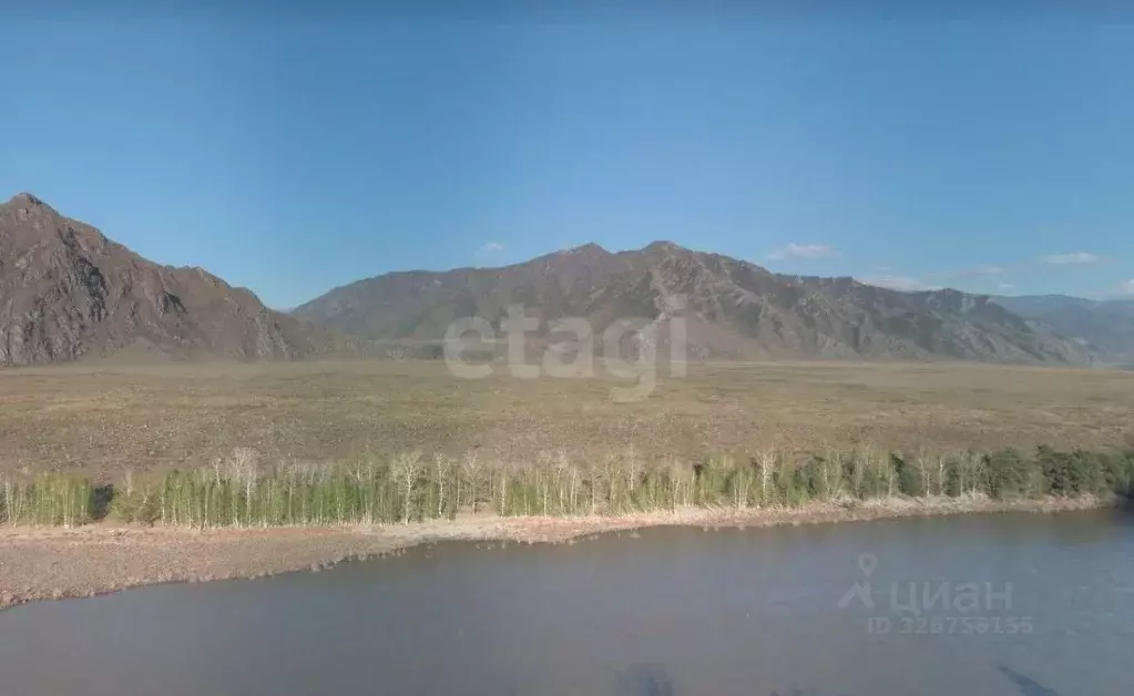 Участок в Алтай, Чемальский район, с. Куюс  (100.0 сот.) - Фото 1