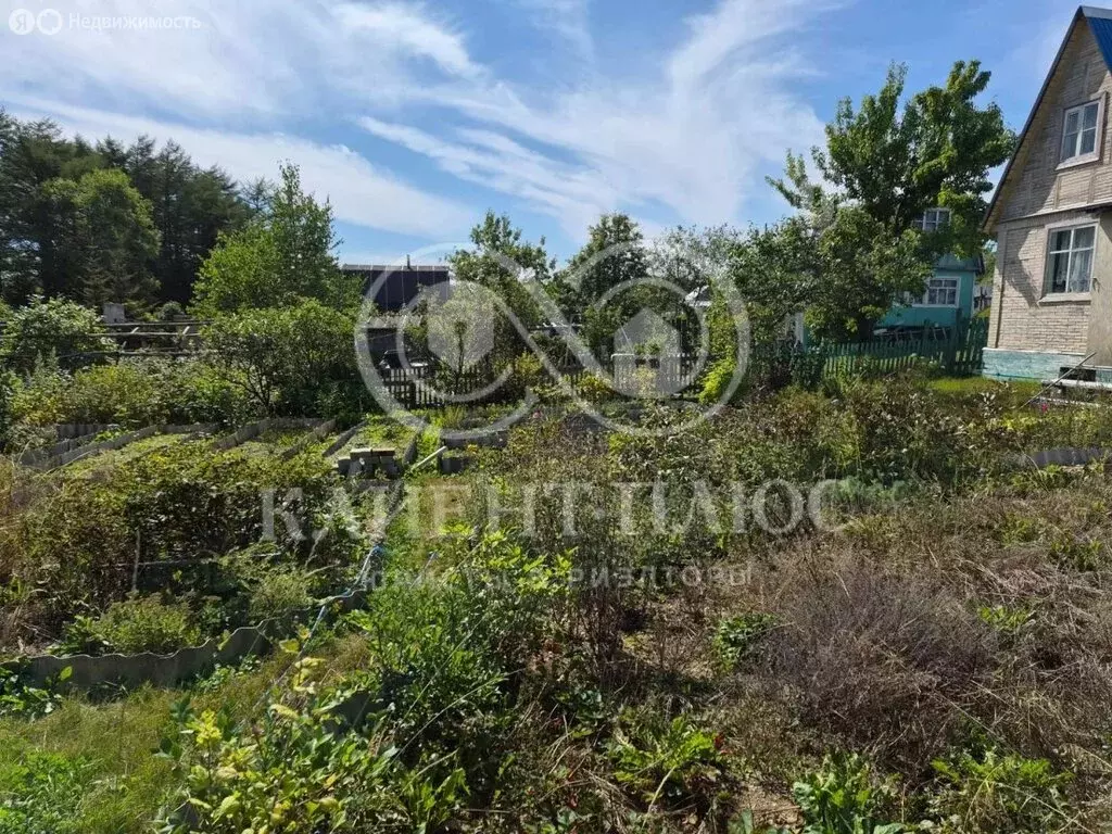 Дом в Сахалинская область, Корсаков (40.2 м) - Фото 1