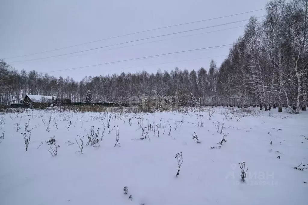 Участок в Башкортостан, Стерлитамакский район, д. Казадаевка ул. ... - Фото 0