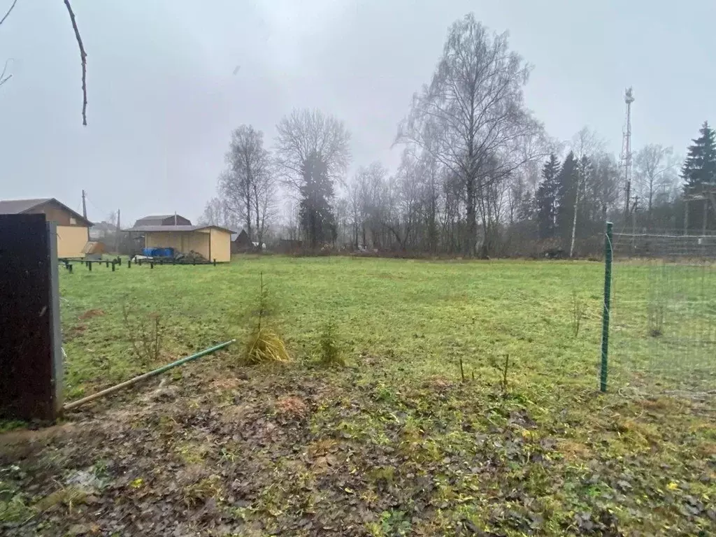 Участок в Московская область, Рузский муниципальный округ, д. Барынино ... - Фото 1