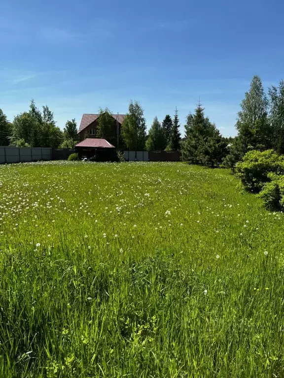 Участок в Владимирская область, Александровский муниципальный округ, ... - Фото 2