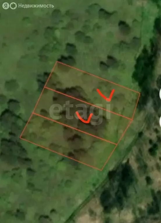 Участок в Горно-Алтайск, СНТ Бочкарёвка (10 м) - Фото 1