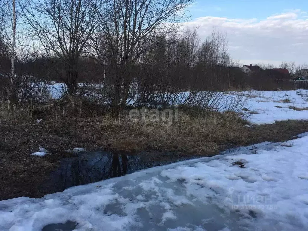 Участок в Владимирская область, Муром д. Коржавино,  (14.46 сот.) - Фото 1