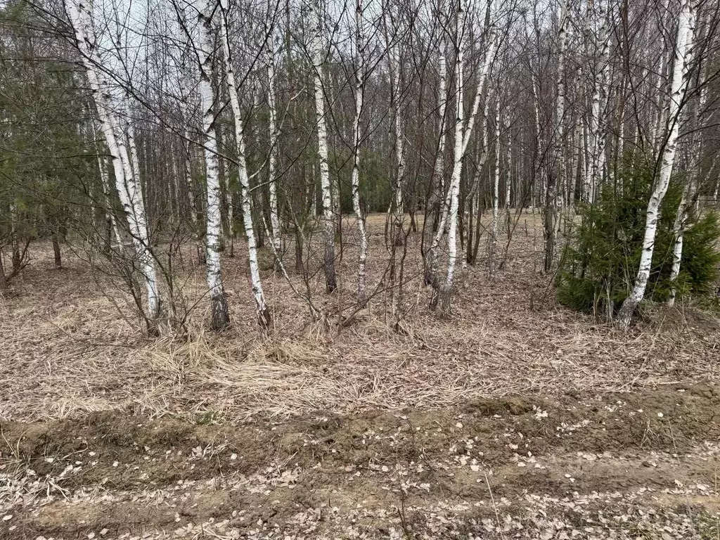 Участок в Московская область, Богородский городской округ, д. ... - Фото 0