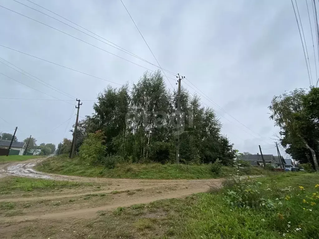 Участок в Тверская область, Весьегонск ул. Калинина (11.0 сот.) - Фото 2