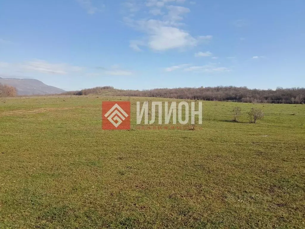 Участок в Крым, Бахчисарайский район, с. Зеленое  (208.0 сот.) - Фото 2