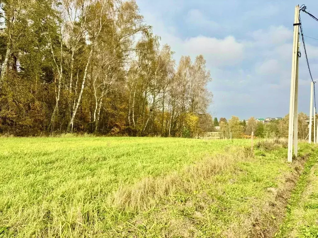Участок в Московская область, Домодедово городской округ, с. Красный ... - Фото 2