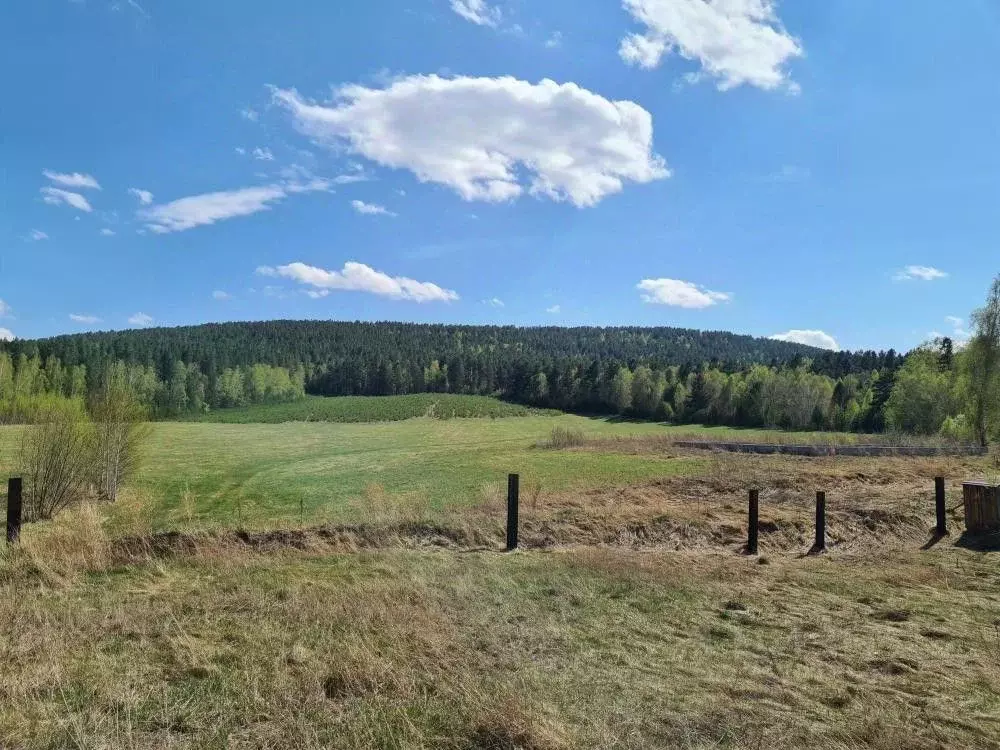 Участок в Иркутская область, Шелеховский район, Баклашинское ... - Фото 1