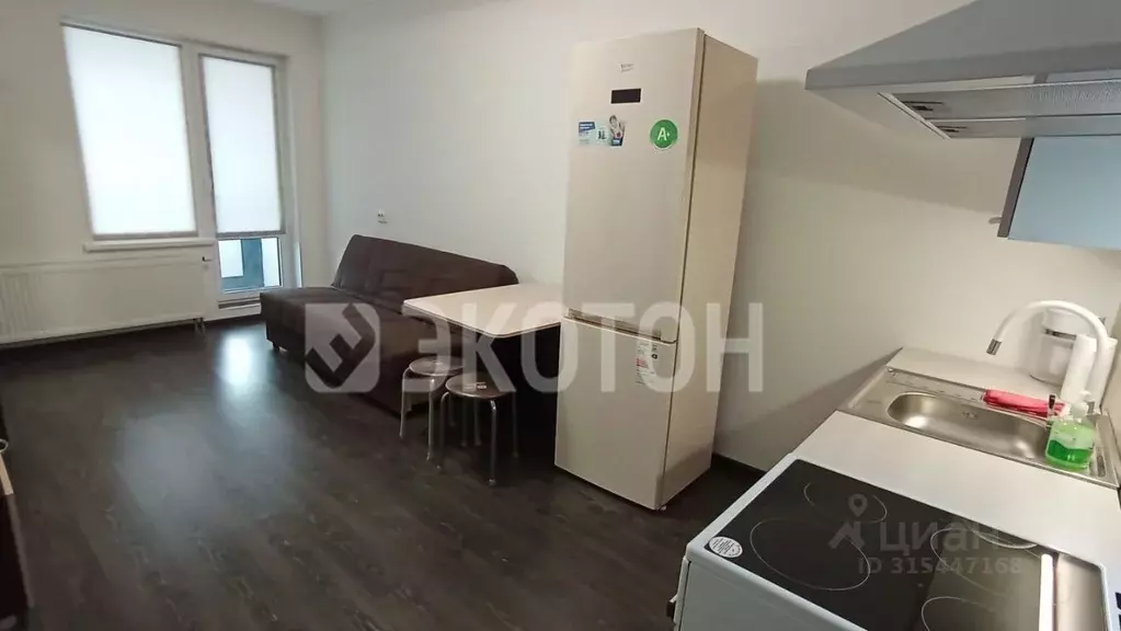 Студия Санкт-Петербург просп. Буденного, 23к5 (24.2 м) - Фото 1