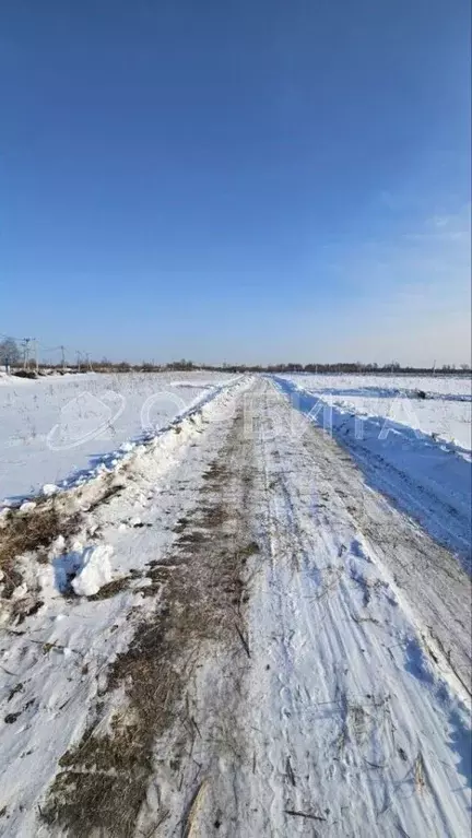 Участок в Тюменская область, Тюменский район, пос. Новотарманский ... - Фото 0