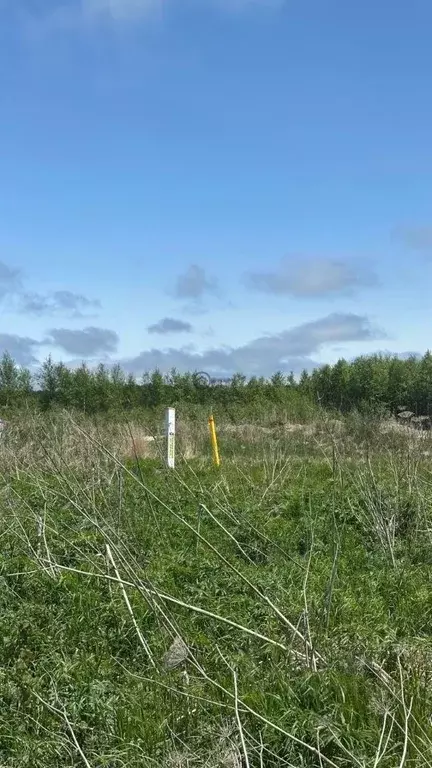 Участок в Сахалинская область, Анивский городской округ, с. Мицулевка  ... - Фото 1