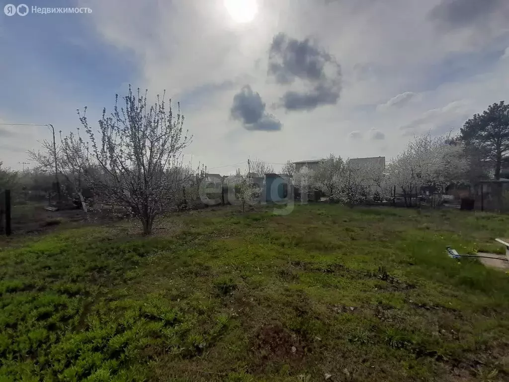 Участок в Нежинский сельсовет, СНТ Успех, улица 10-я Линия (5 м) - Фото 2