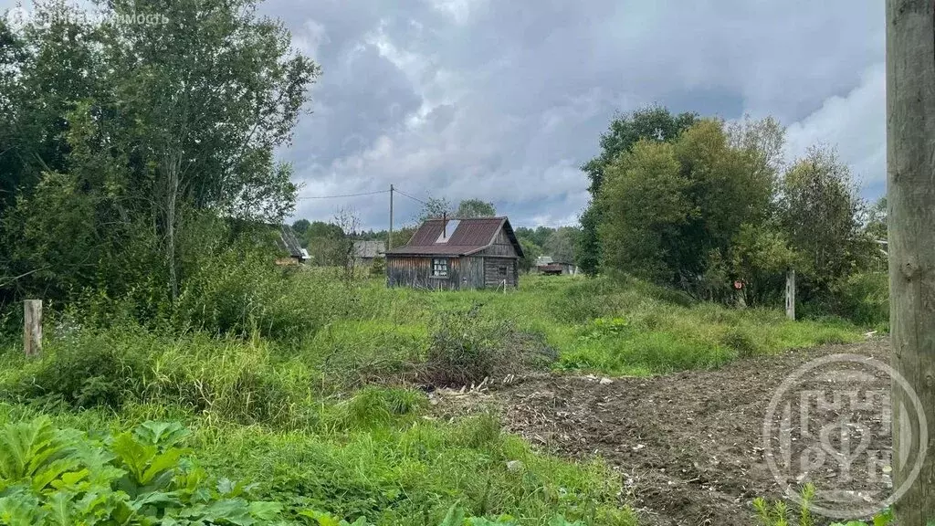 Участок в Шугозерское сельское поселение, деревня Лизаново, Садовая ... - Фото 2