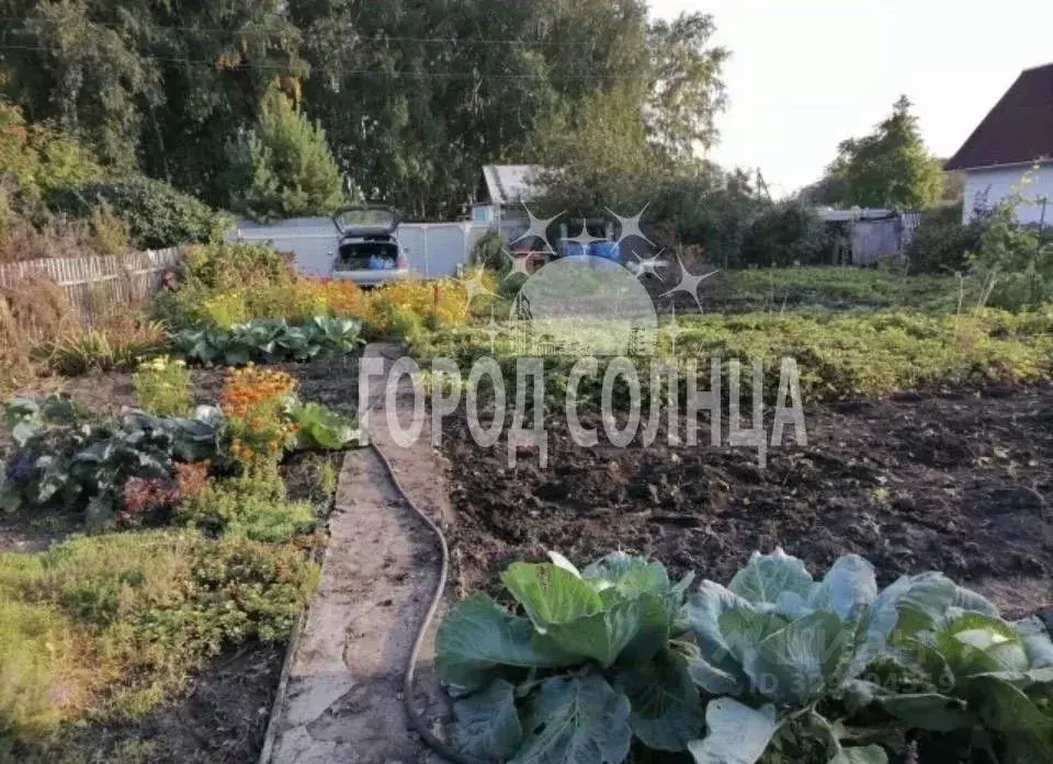 Дом в Омская область, Омск СОСН Шинник-3 тер., 591 (20 м) - Фото 1
