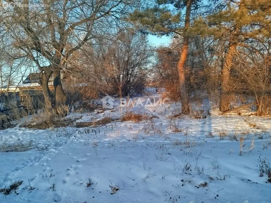 Участок в Лермонтовка, улица Ленина, 43 (9.9 м) - Фото 2