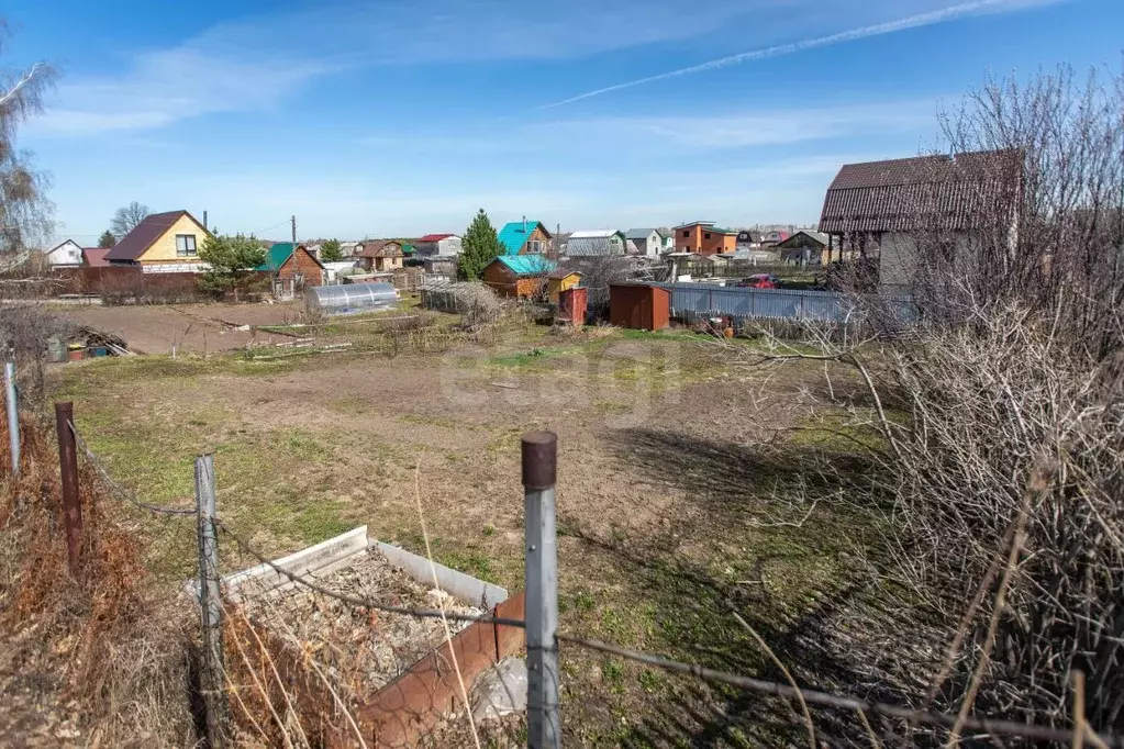 Участок в Новосибирская область, Бердск Радостное СНТ, 17 (6.5 сот.) - Фото 1