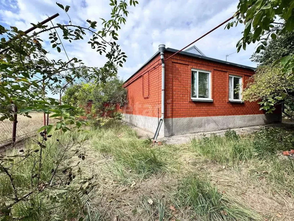 Дом в Краснодарский край, Ейский район, Кухаривское с/пос, с. ... - Фото 2