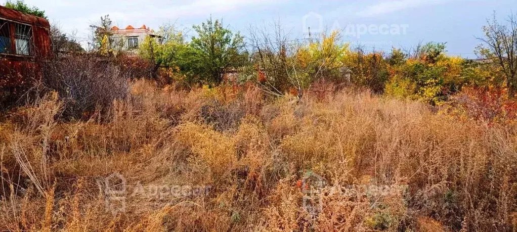 Участок в Волгоградская область, Городищенское городское поселение, ... - Фото 1