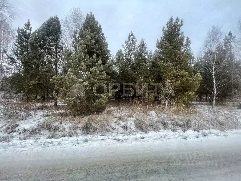 Участок в Тюменская область, Нижнетавдинский район, Березка СНТ ул. ... - Фото 0