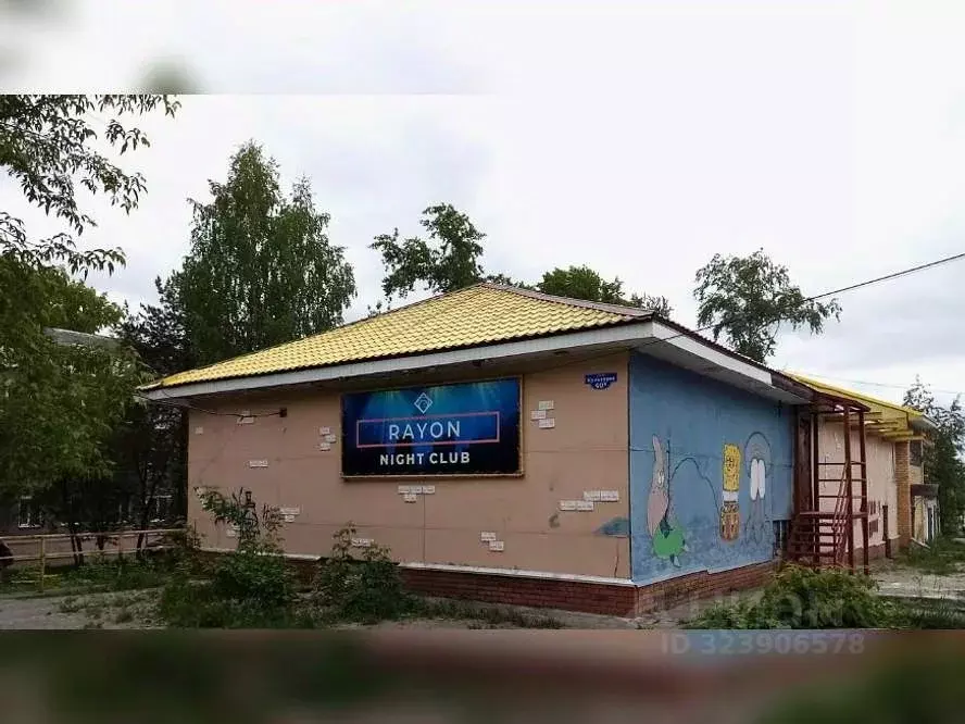 Помещение свободного назначения в Пермский край, Соликамск ул. ... - Фото 1