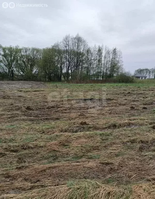 Участок в Гурьевск, Петровская улица (10.3 м) - Фото 1