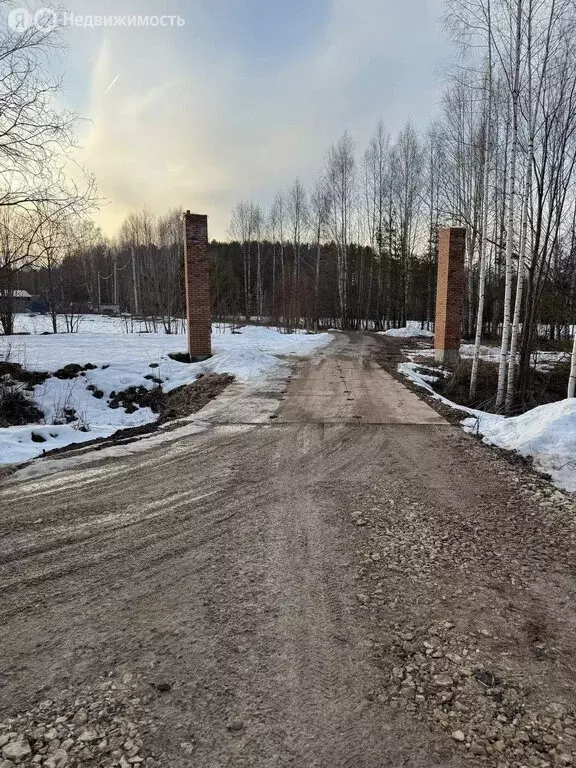Участок в муниципальное образование Киров, деревня Олинцы (16.95 м) - Фото 0