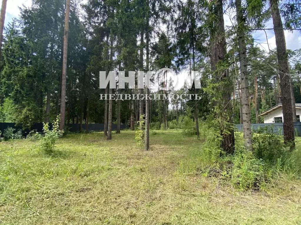 Участок в Московская область, Щелково городской округ, Екатерининская ... - Фото 2