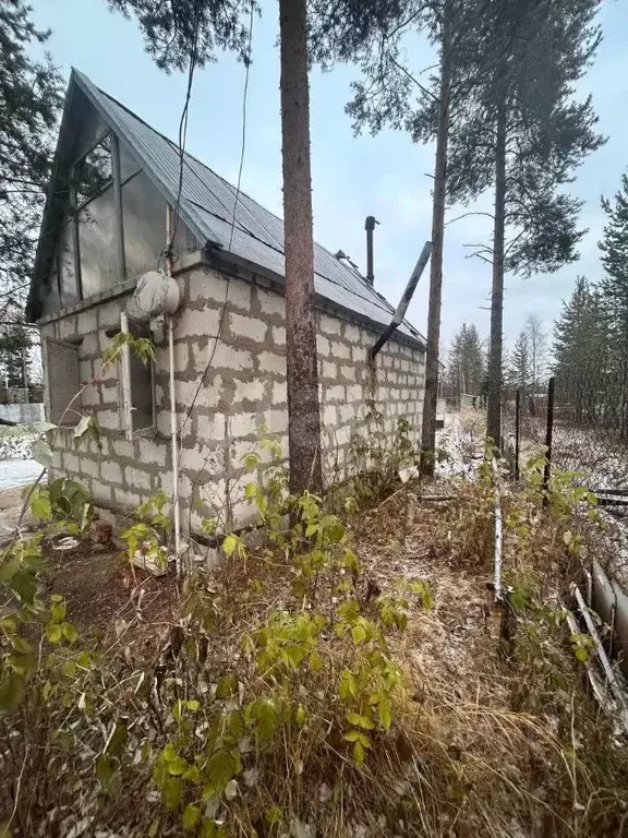 Дом в Коми, Парма пгт, СНТ Рябинушка-2 тер.  (31 м) - Фото 2