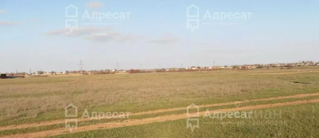 Участок в Волгоградская область, Светлоярский район, Червленовское ... - Фото 1