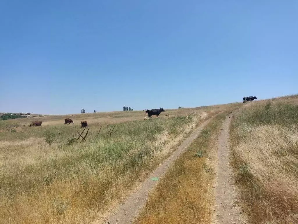 Участок в Крым, Симферопольский район, Перовское с/пос, с. Ключи ул. ... - Фото 1