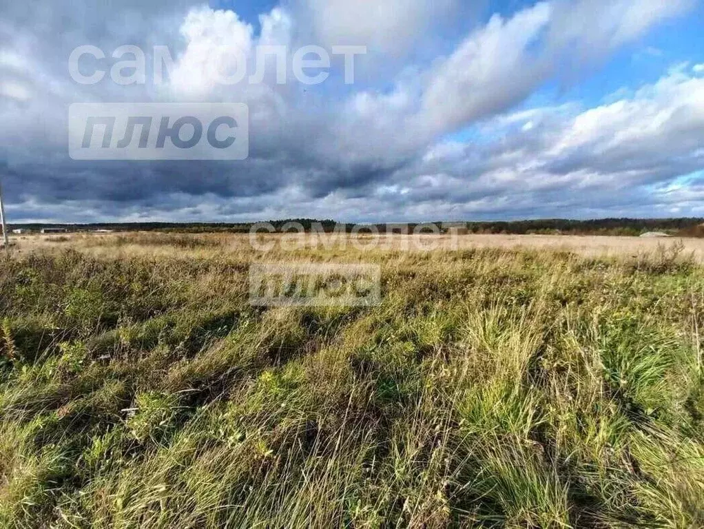 Участок в Вологодская область, с. Сямжа ул. Еремиха (12.0 сот.) - Фото 2
