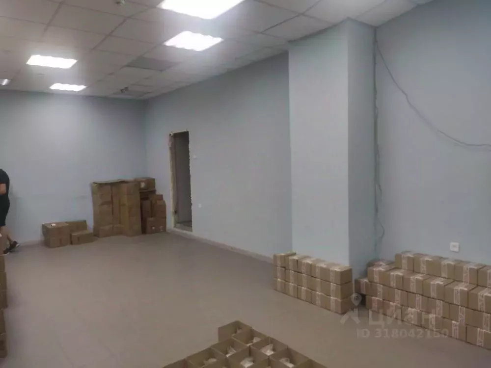 Помещение свободного назначения в Новосибирская область, Новосибирск ... - Фото 1