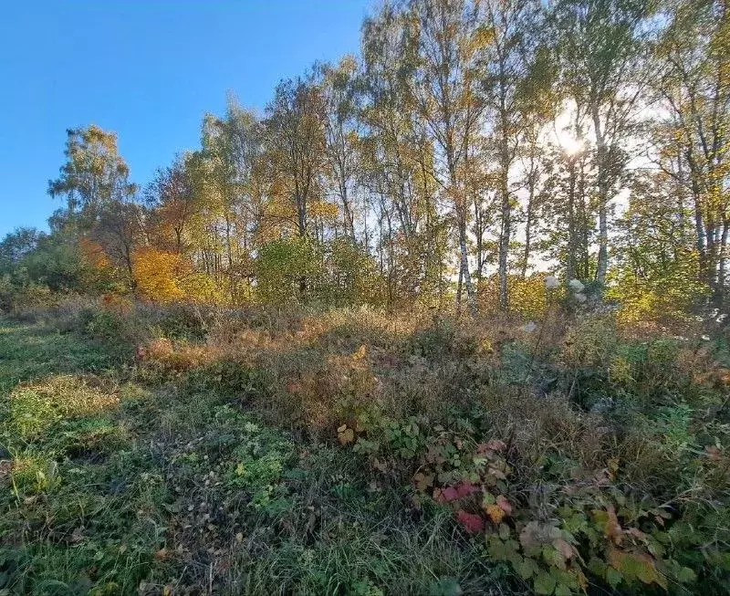 Участок в Московская область, Кашира городской округ, д. Завалье-1  ... - Фото 0