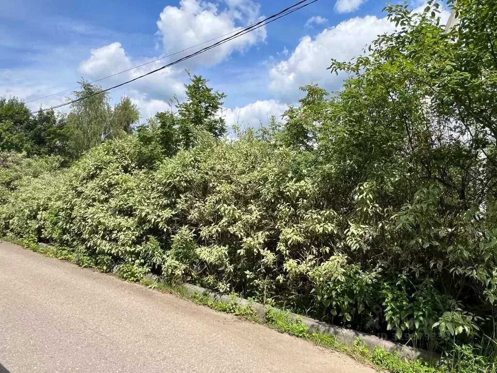 Участок в Московская область, Одинцовский городской округ, д. Митькино ... - Фото 0