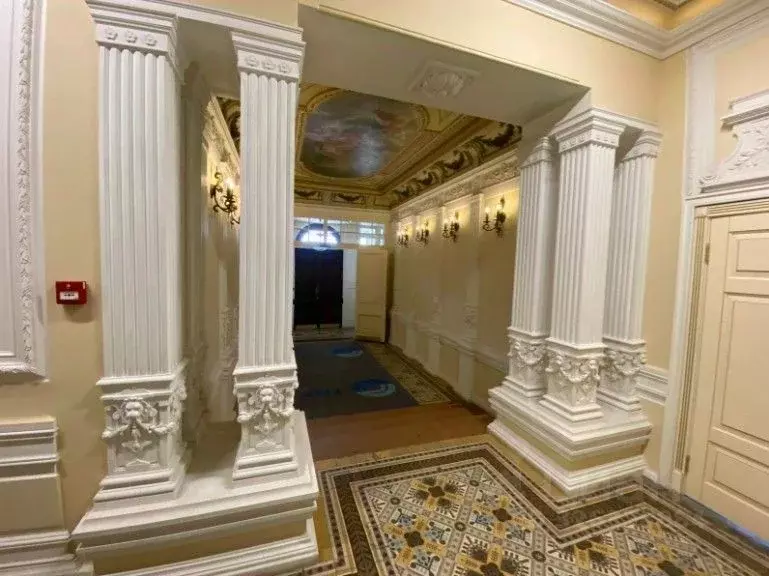 Помещение свободного назначения в Санкт-Петербург ул. Большая ... - Фото 2