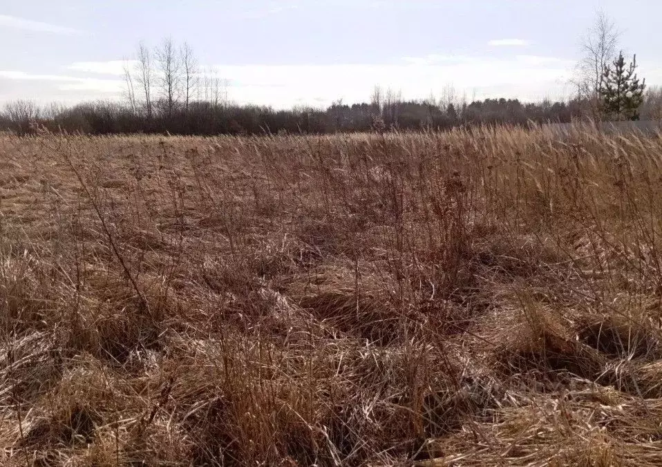 Участок в Московская область, Коломна городской округ, с. Нижнее ... - Фото 0
