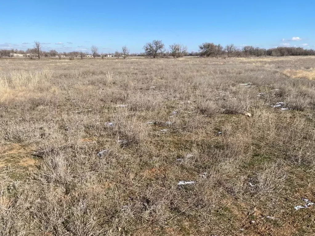 Участок в Волгоградская область, Волгоград ул. Карельская (6.44 сот.) - Фото 1