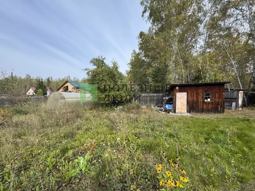 Участок в Курганская область, Кетовский муниципальный округ, ... - Фото 2