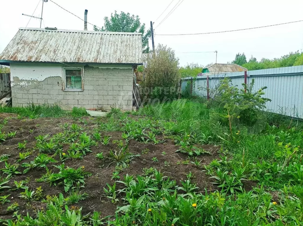 Дача 25,1 м на участке 6 сот. - Фото 1