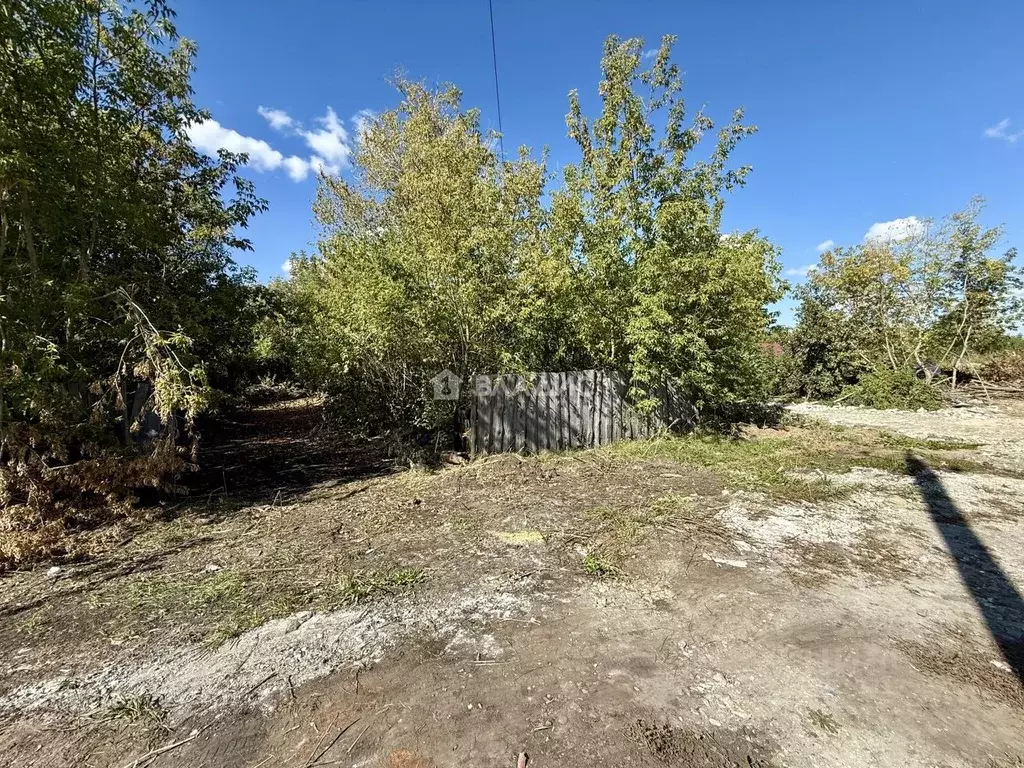 Участок в Пензенская область, Пензенский район, Мичуринский сельсовет, ... - Фото 2