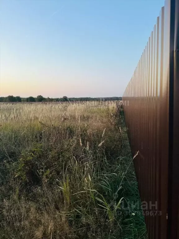 Участок в Московская область, Чехов городской округ, д. Филипповское  ... - Фото 0