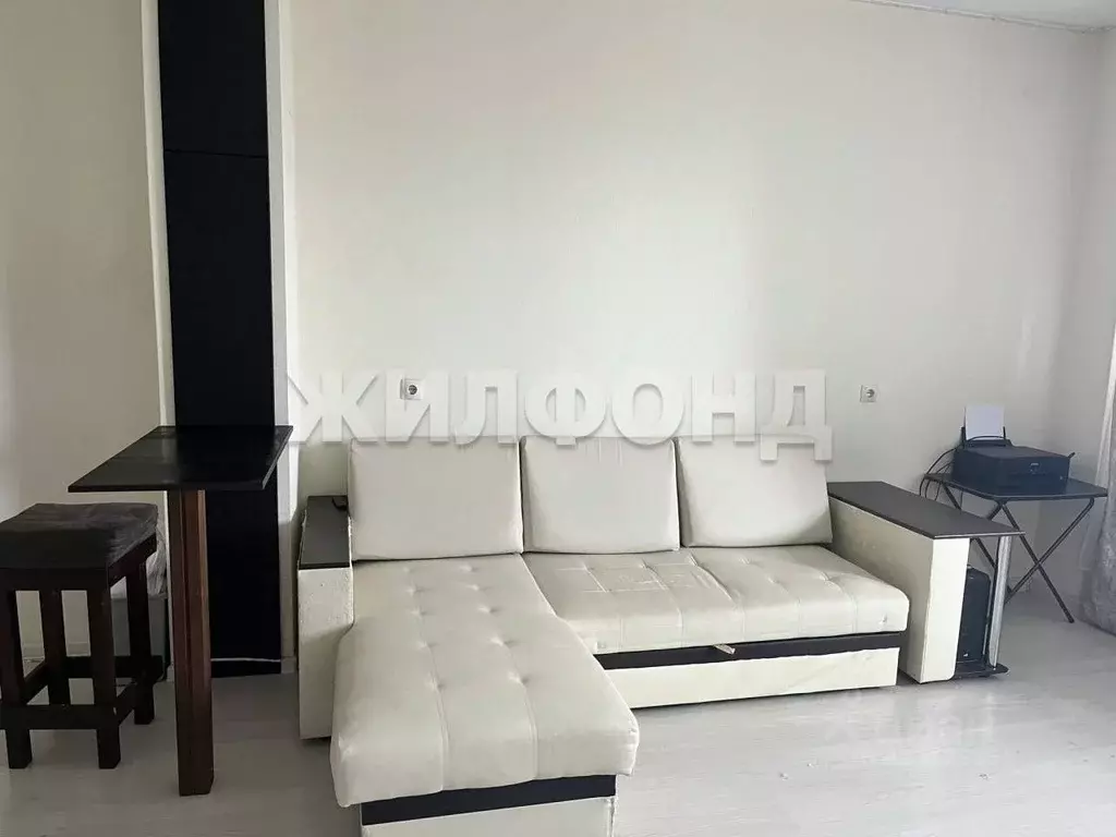 1-к кв. Новосибирская область, Новосибирск ул. Сибиряков-Гвардейцев, ... - Фото 2