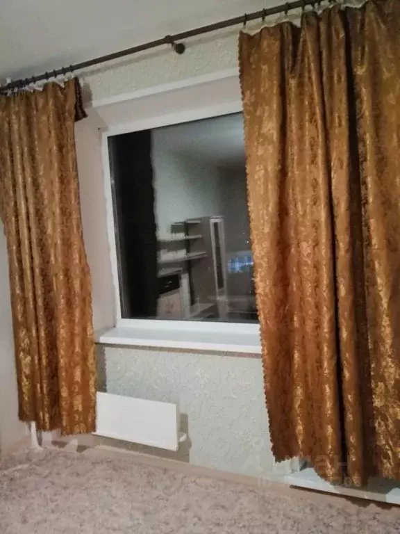 1-к кв. Томская область, Томск просп. Ленина, 210 (26.0 м) - Фото 2